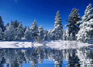 Free Animated Water Background images love live nature wallpaper background animated gifs amazing landscapes nature free download gif 5 blogspot website gifs photo art loves life nature snowy forest trees lake reflection water Free Animated Water Background
